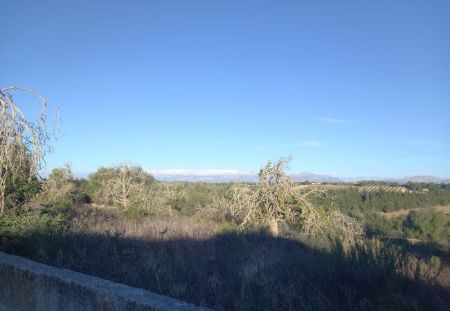 Finca en Ariany - Ref. 417094 Finca en Ariany - Ref. 417094