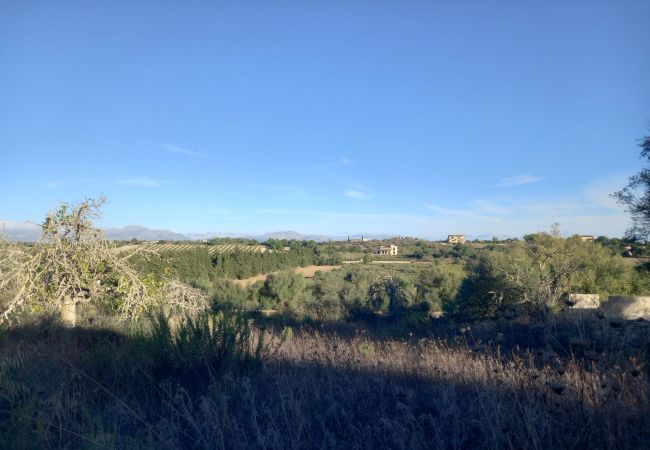 Finca en Ariany - Ref. 417094 Finca en Ariany - Ref. 417094