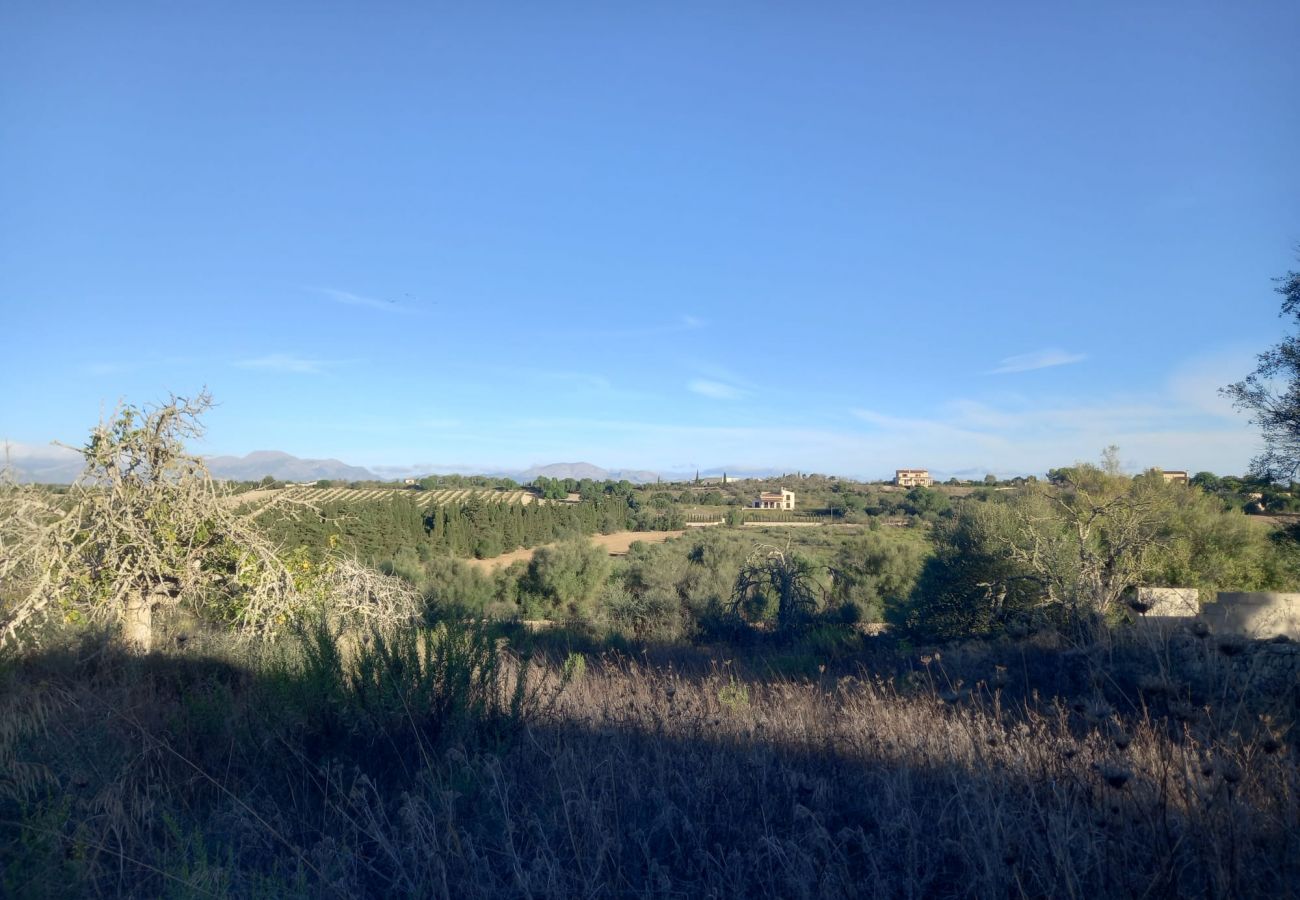 Finca en Ariany - Ref. 417094 Finca en Ariany - Ref. 417094